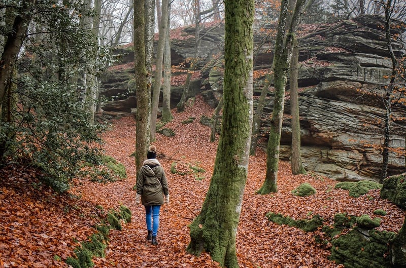 Nature Walking